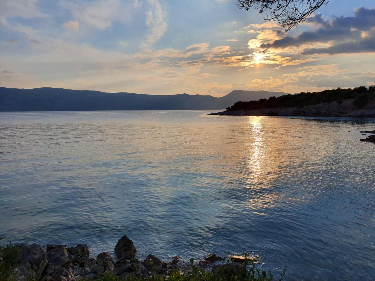 Villa Diny With Pool Pinezići Exteriör bild