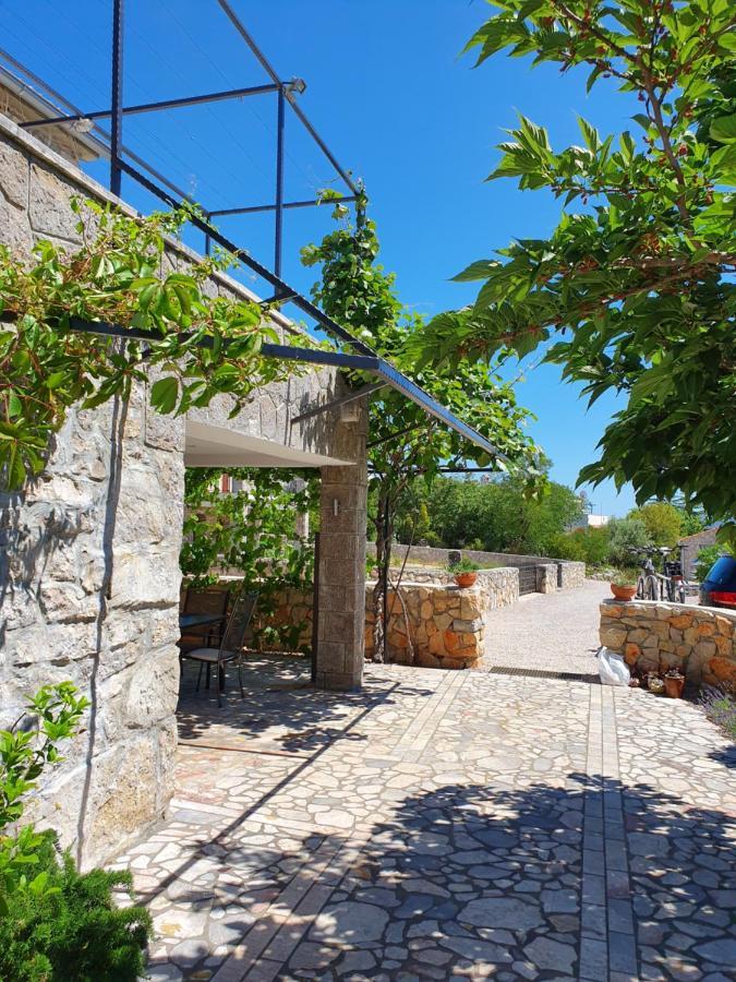 Villa Diny With Pool Pinezići Exteriör bild