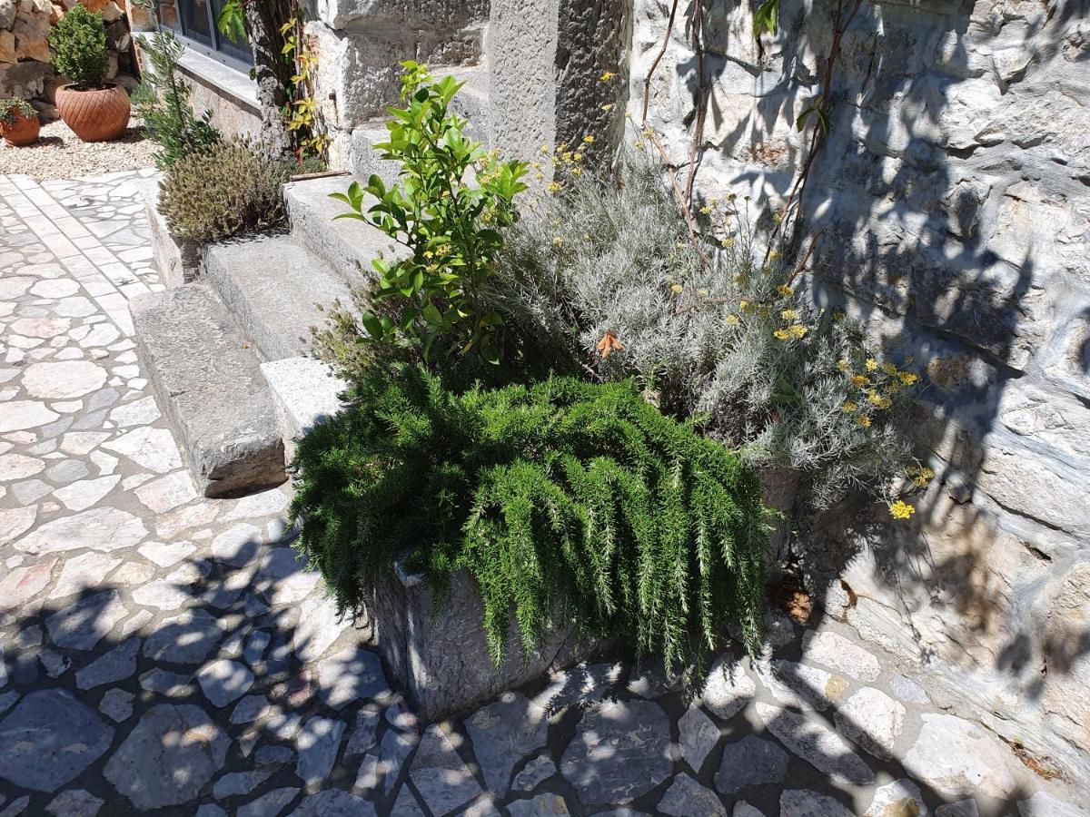Villa Diny With Pool Pinezići Exteriör bild