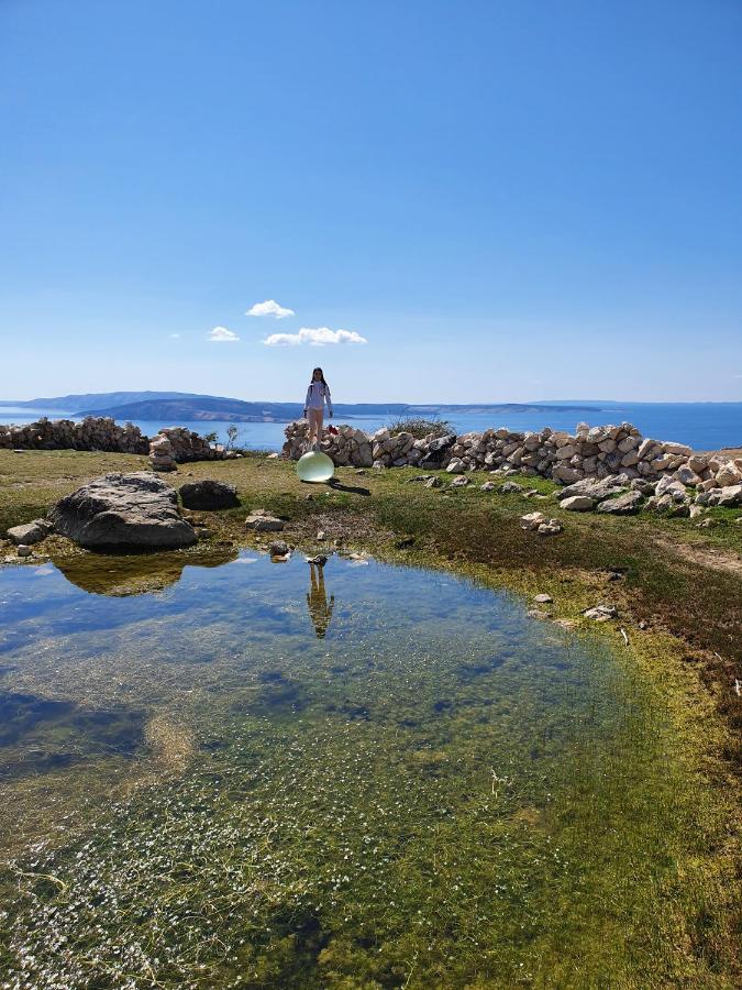 Villa Diny With Pool Pinezići Exteriör bild