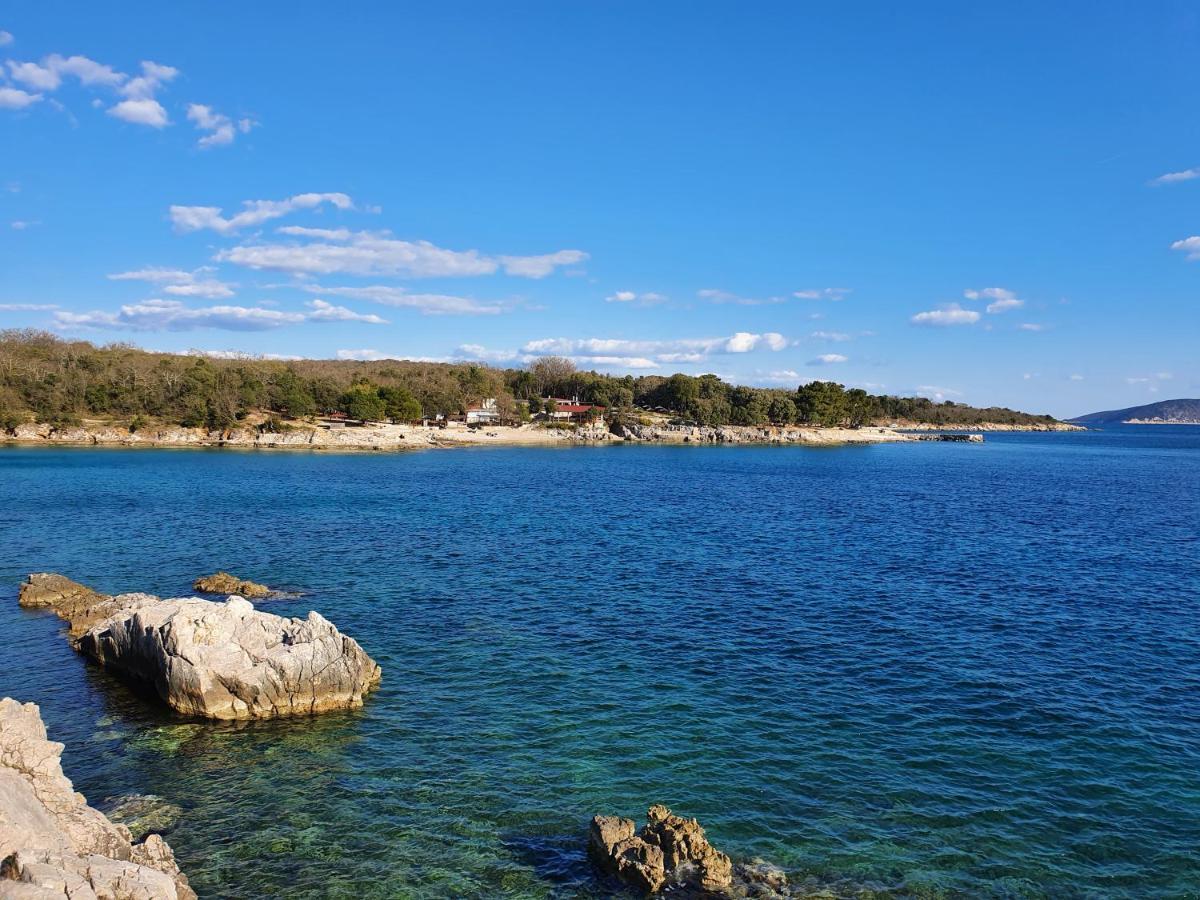 Villa Diny With Pool Pinezići Exteriör bild